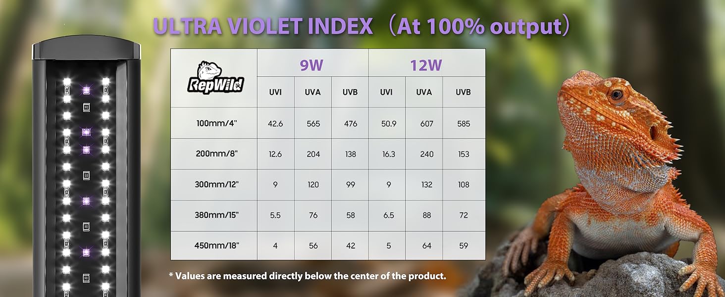 bearded dragon uvb light