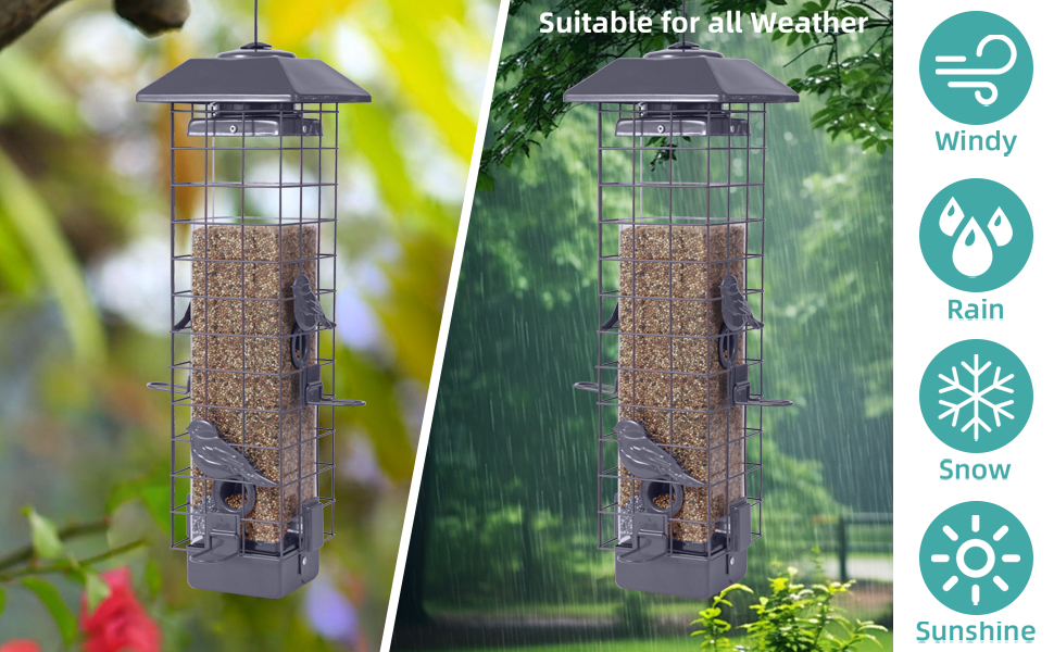 Squirrel Proof Bird Feeder
