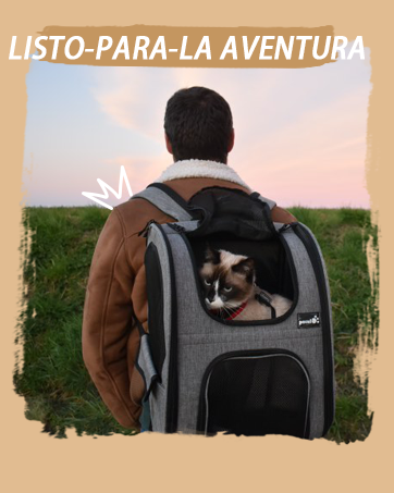 Pecute Large Portable Pet Travel Bag with Pockets Multifunctional Organizer for Outdoor Use Travel Set with 2 Food Bags + 2 Collapsible Bowls 14 aplus content image