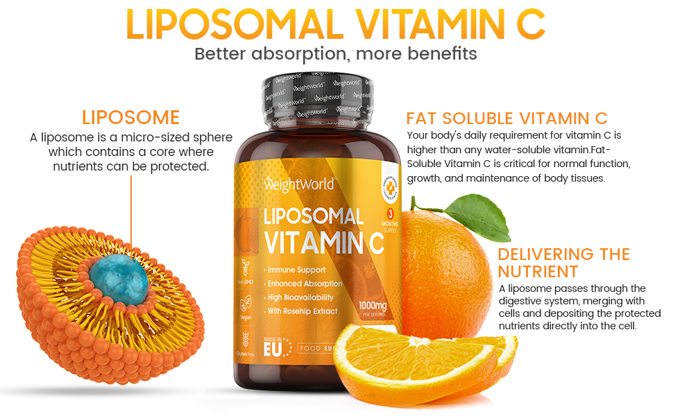 Liposomal vitamin. Liposomal vitamin