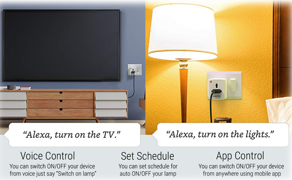 Alexa and google Assistant