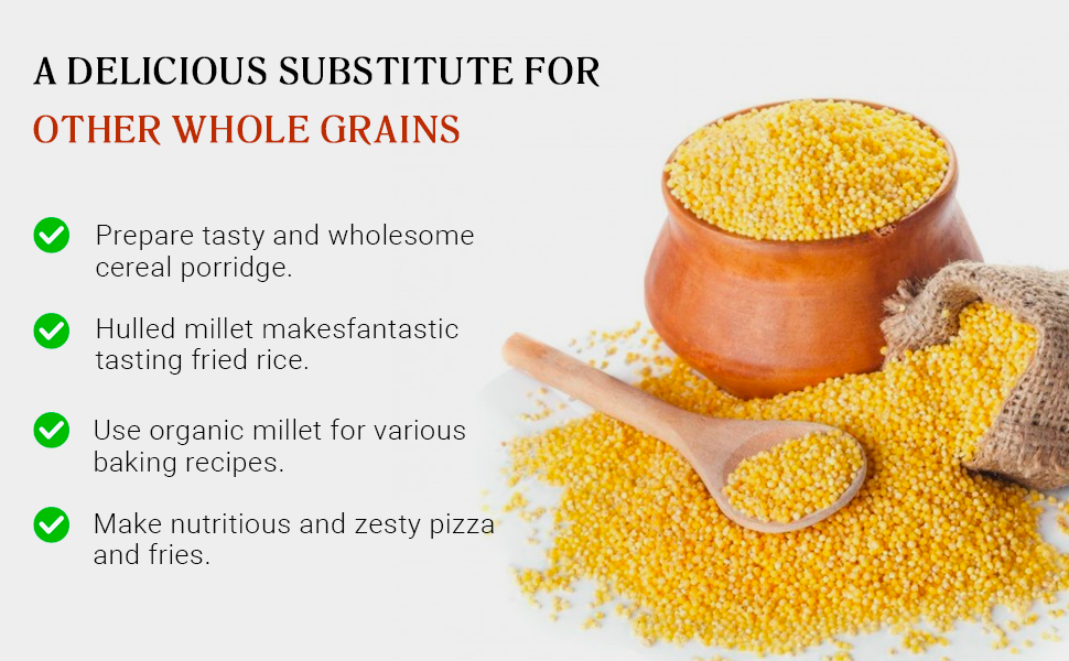 10 lbs Organic Hulled Millet Whole Grain NonGMO Seeds