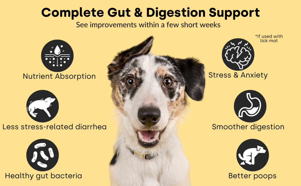 Kayode Lickable Dog Probiotic Paste Lick Mats & Enrichment