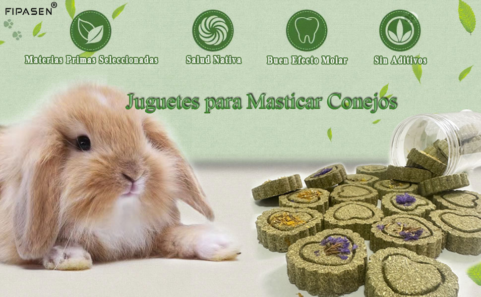 Juguetes para Masticar Conejos 1