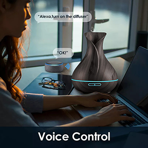 Aroma Diffuser Alexa/Google Home Kontrolle