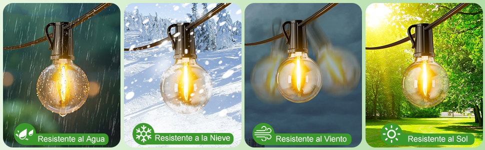 Pantalla de cuatro paneles que muestra la misma bombilla exterior en diferentes entornos estacionales: vegetación primaveral, jardín de verano, hojas de otoño y nieve de invierno.