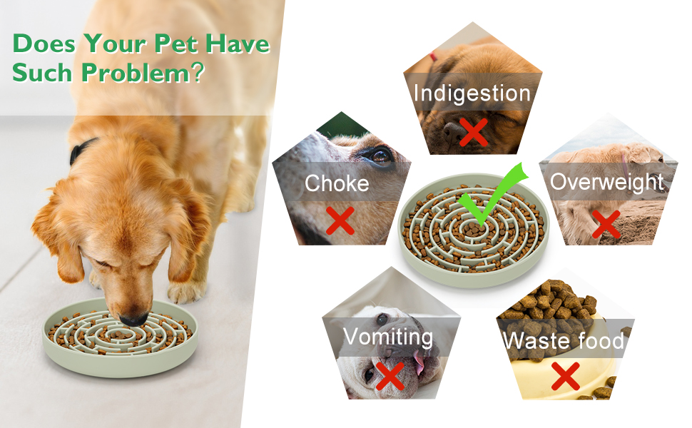 slow feeder dog bowl