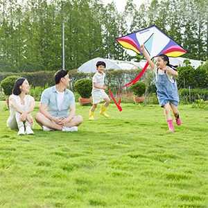 凧 カイト 子ども 凧揚げ 大人 初心者用 微風で揚がる 軽量丈夫 アウトドア 親子おもちゃ カラフルカイト