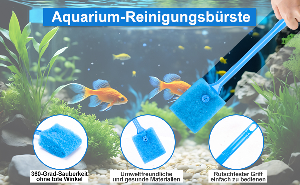 Aplus-Inhaltsbild