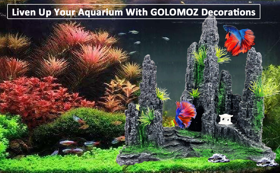 large fish tank accessories