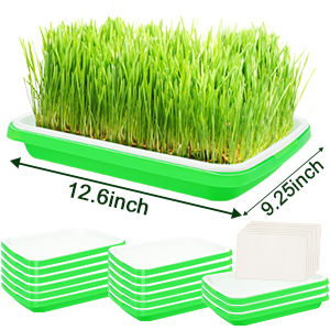 seed sprouting kit