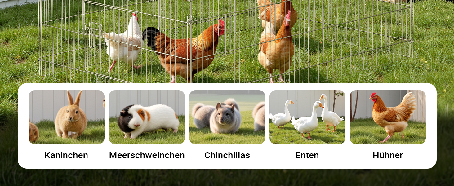Drahtzaungehege für Kleintiere. Enthält Bilder von Kaninchen, Meerschweinchen, Chinchillas, Enten und Hühnern in separaten
