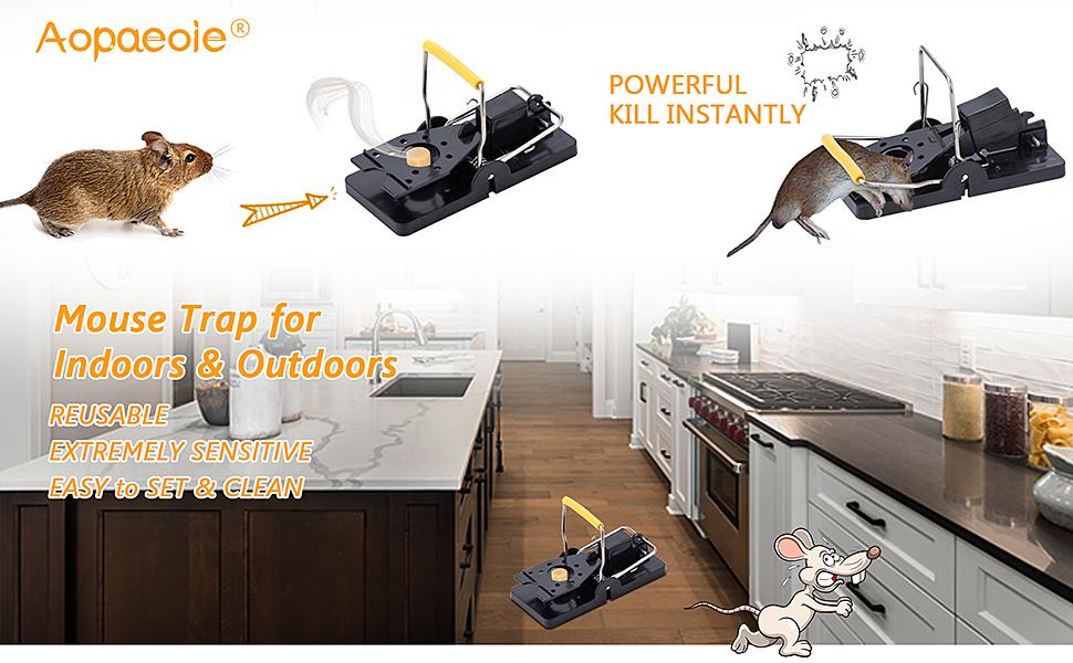 Aopaeoie Mouse Traps That Work, Rodent Traps That Kill Instantly for