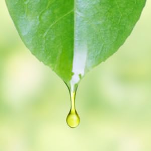 Niacinamide Serum