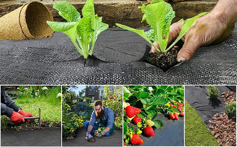 ONTHIS Weed Control Membrane 1m x 50m, Garden Membrane, weed Membrane