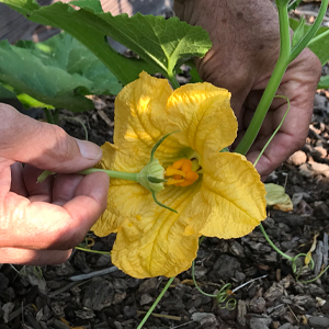 Small manufacture image 8