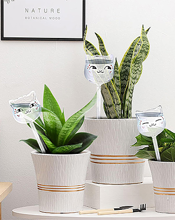 Self Watering Planter