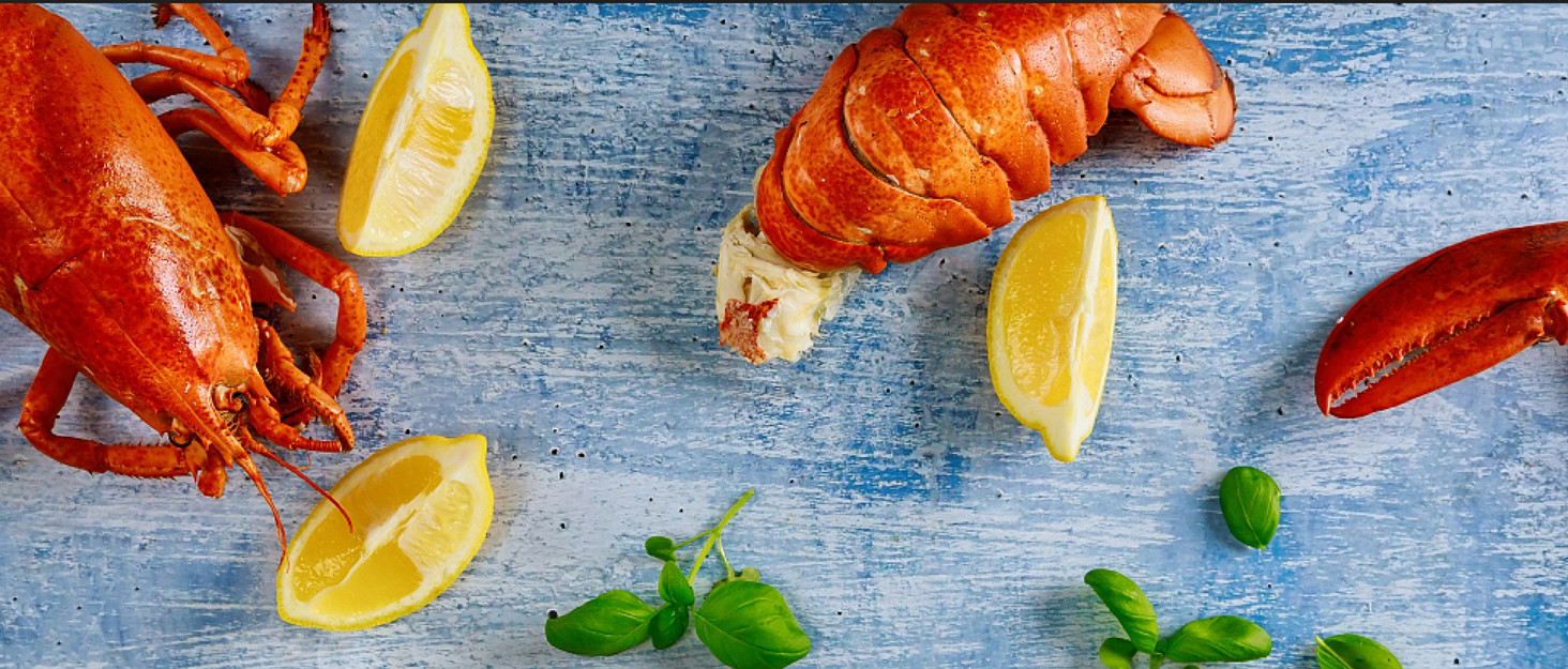 Seafood Crackers Tools Nutcrackers tools, Crab Nut Lobster