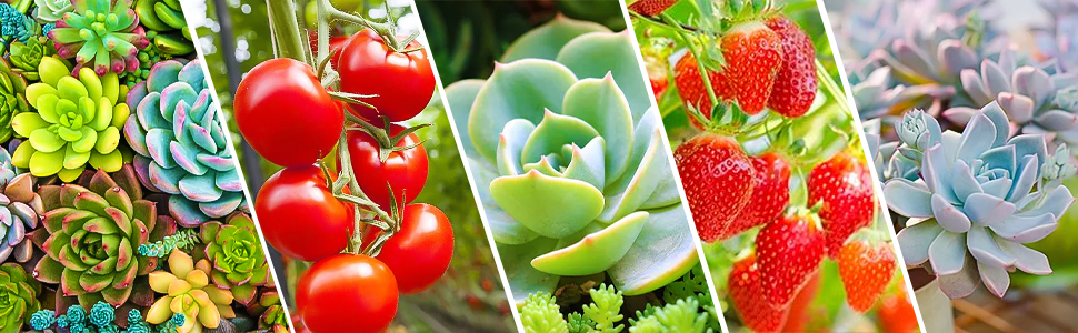 Large manufacture image 2