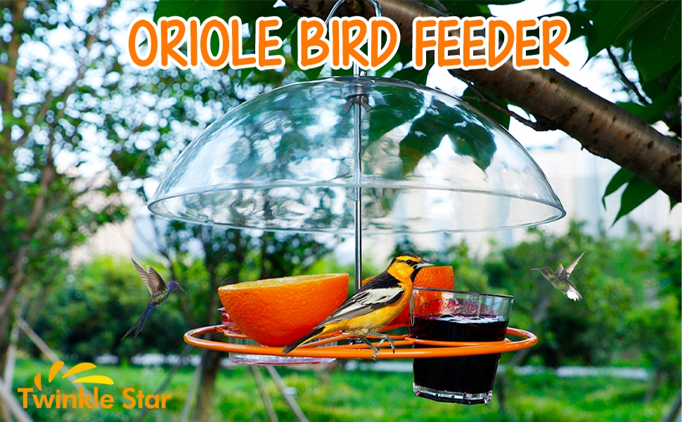 Twinkle Star Oriole Bird Feeder, 3 Types Food, Orange