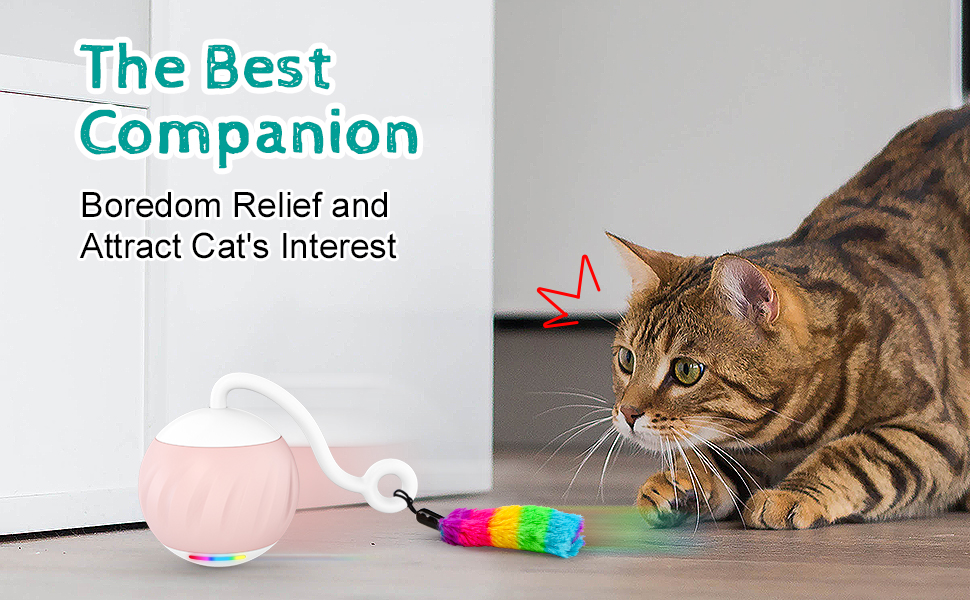 EWalos Interactive Cat Toy, Automatic Cat Ball Toys