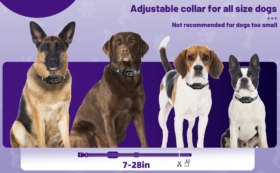 bark collar