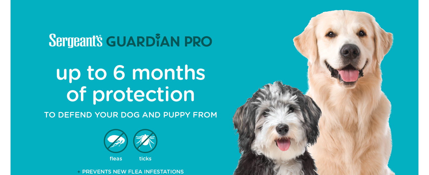 6 months of flea and tick protection