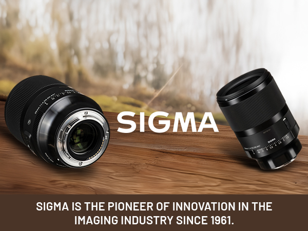 Amazon.com : Sigma 35mm f/1.4 DG DN Art Lens for Sony E