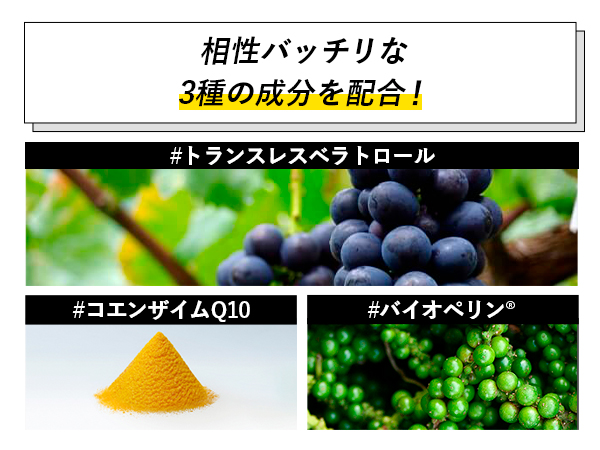 p3_amapre_06