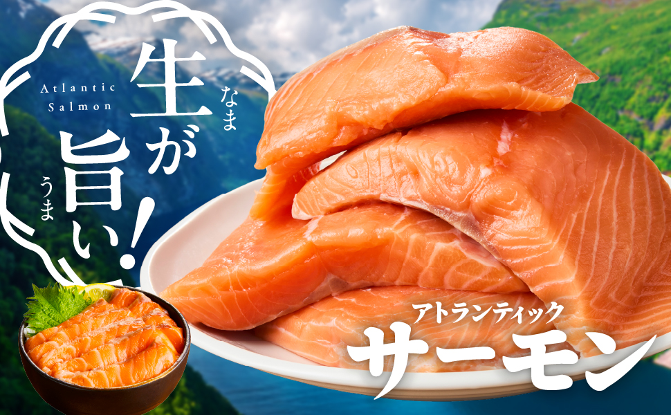 Amazon.co.jp: 【Amazon.co.jp 限定】(株)南予ビージョイ Amazon.co.jp: 【Amazon.co.jp 限定】(株)南予ビージョイ