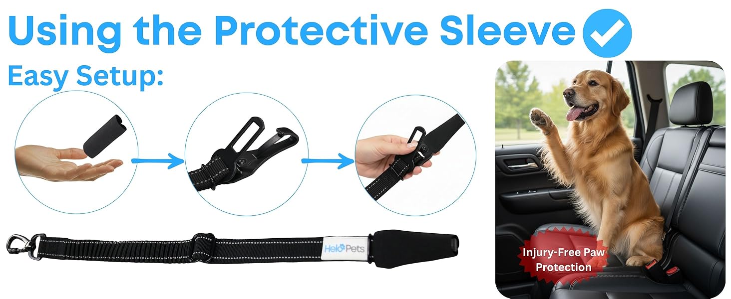 seat belt for dogs in car