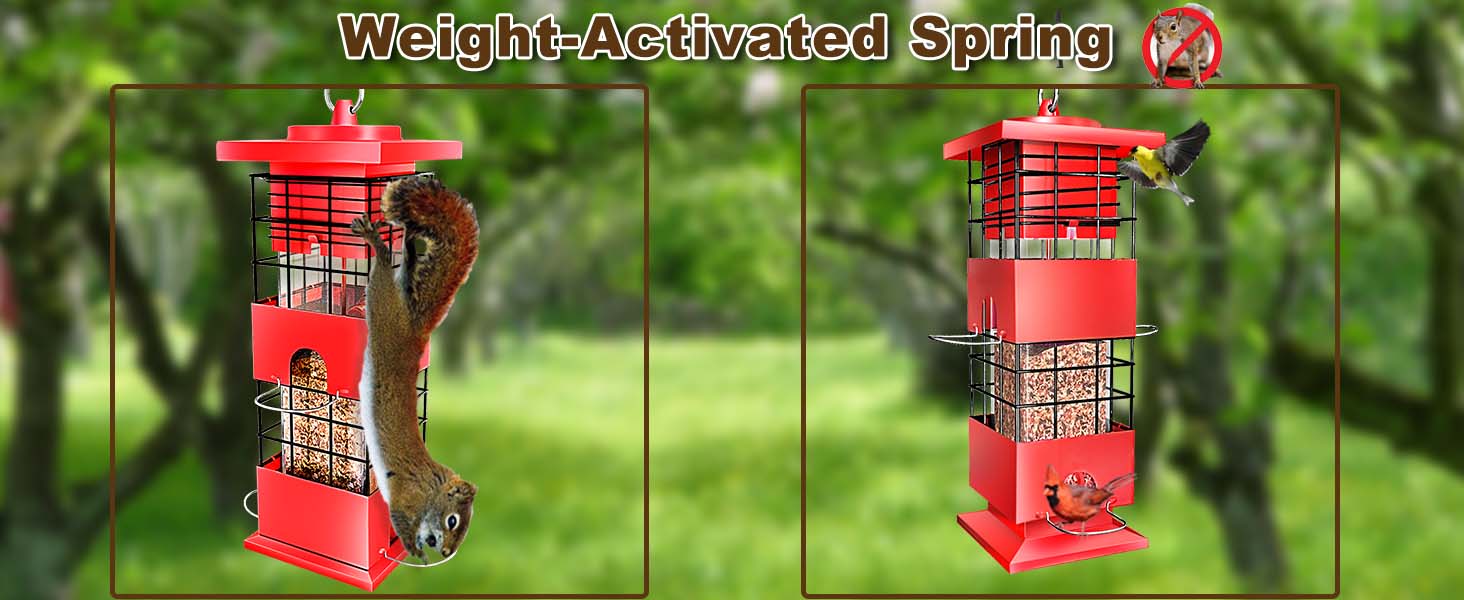squirrel proof bird feeder