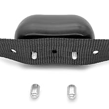 bark collar for large dog