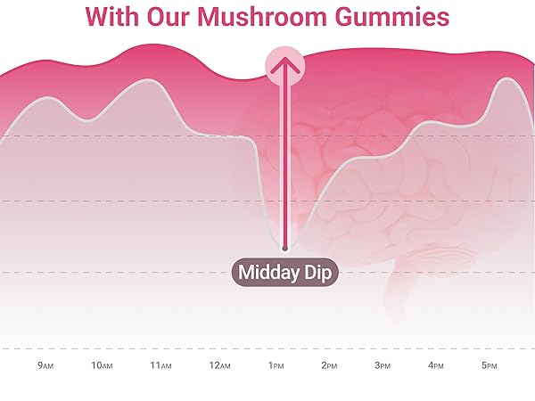 Mushroom Supplement w Lions Mane Nootropic Brain Supplement, Immune Support & Stress Relief 