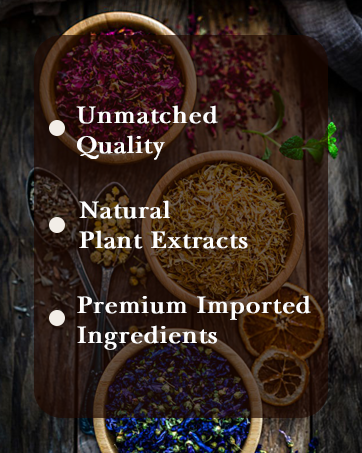 Lion’s Jaw Fig, Cinnamon & Jasmine Aromatherapy Oils - Chemical-Free for Home Diffusers - 0.33 oz Safe for Kids & Pets 7778531b Bb69 4abf 9e74 3a03a6850701. CR0,0,362,453 PT0 SX362 V1