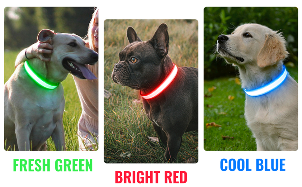 Light up Dog Collar, DQGHQME LED Flashing Dog Collar USB Rechargeable
