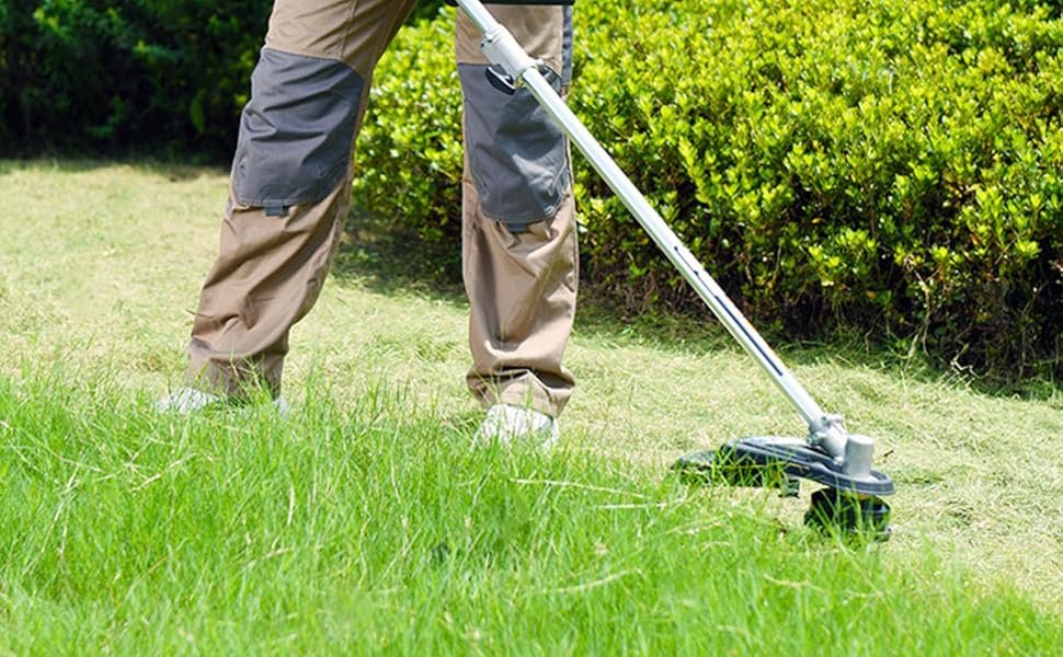 フェイス専用ローラー 81fUmICw57L._UF350,350_QL80_.jpg