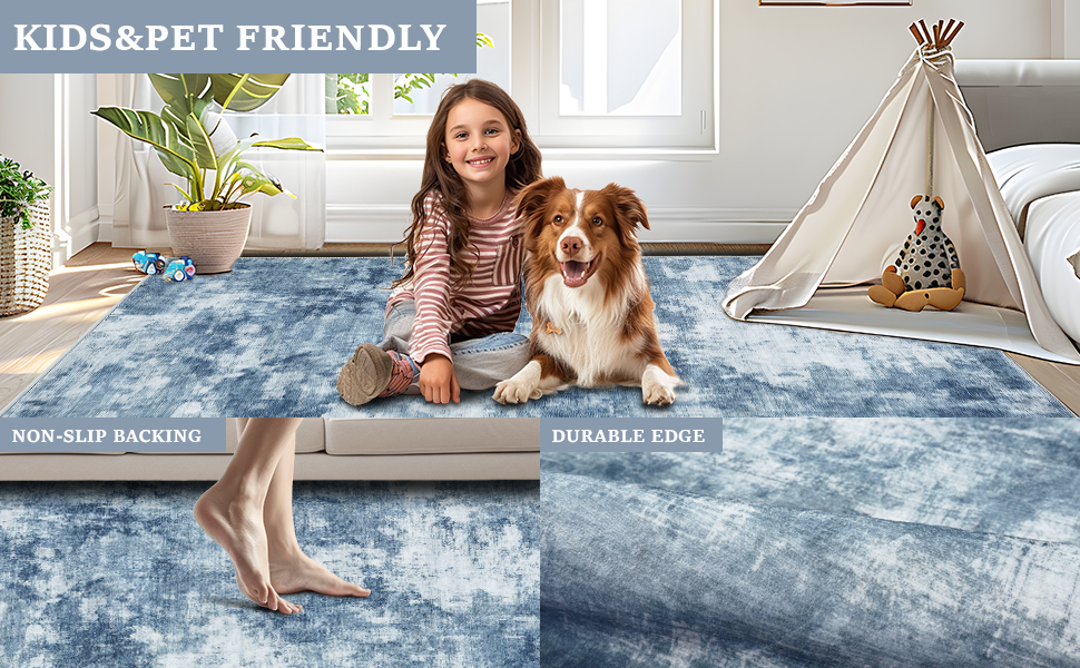 Diskoll Area Rug 2x3 Entryway Rug, Washable Indoor Door Mat