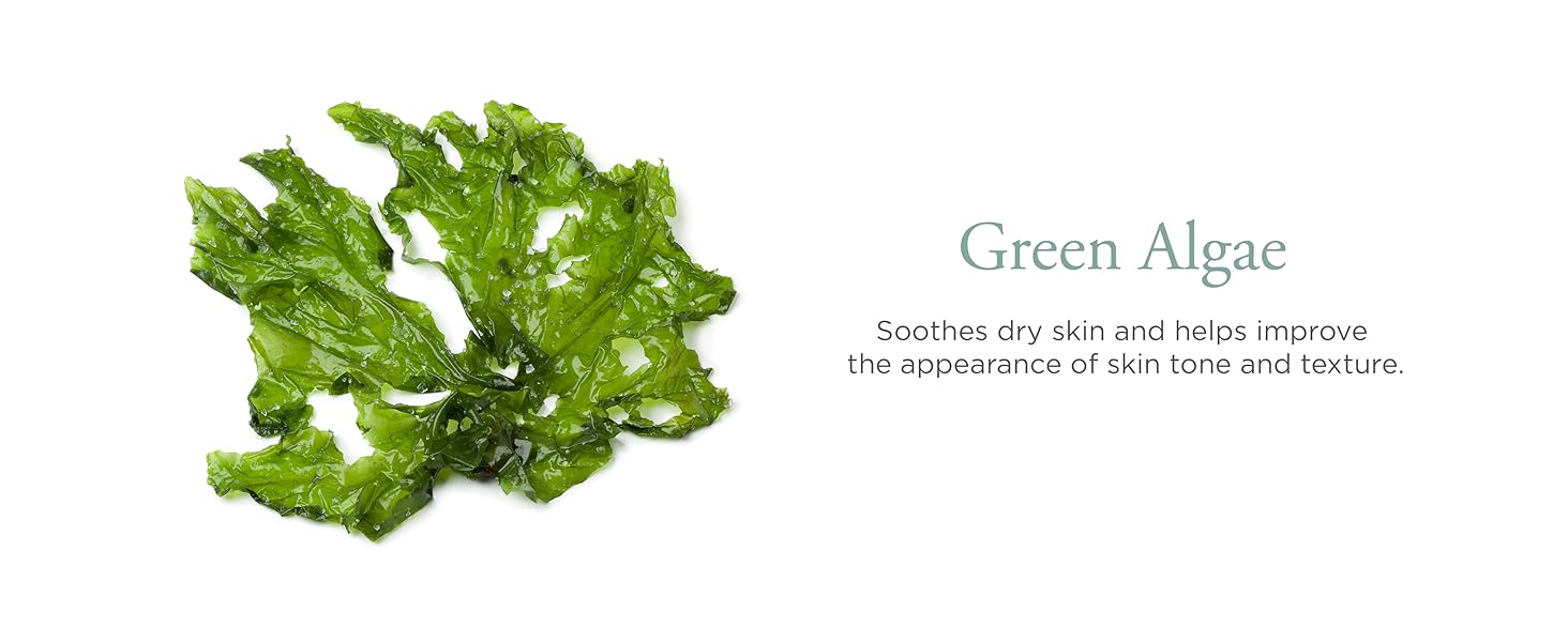 Sea Fresh Ingredient List: Green Algae