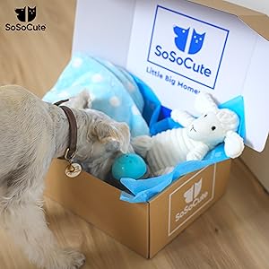 Dog Cat Puppy Gift Welcome New