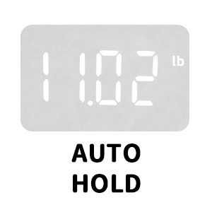 grande balance pour chien S