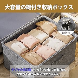 540 H 石鯛　キャメックス 収納ケース付き 540 H 石鯛 キャメックス 収納ケース付き