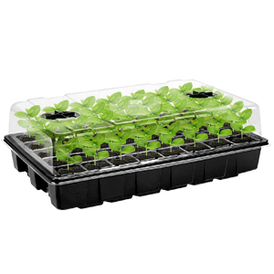plant starter kit