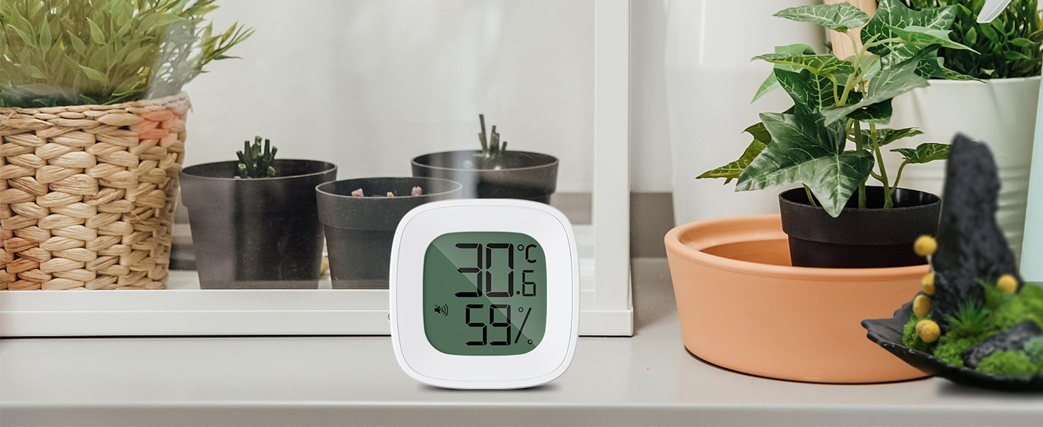 Thermometer