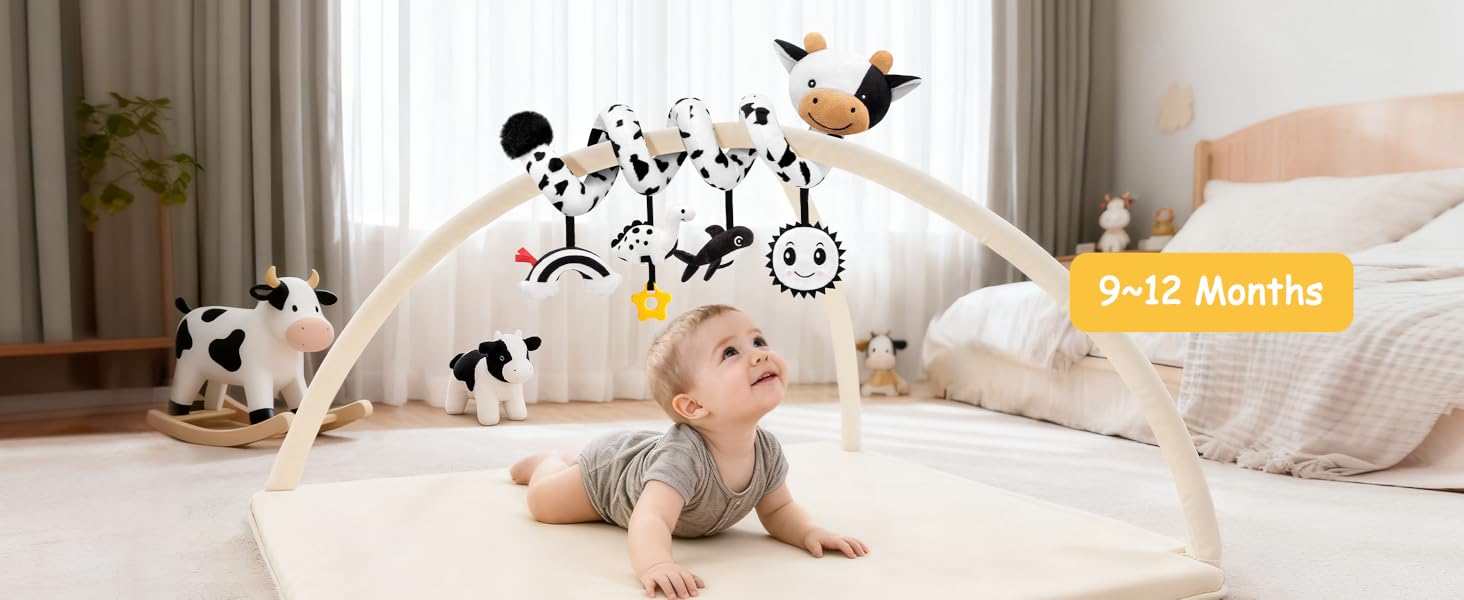 baby toys 6-12 months