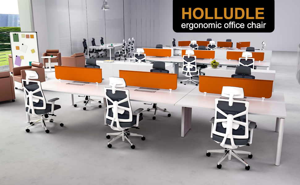 HOLLUDLE Ergonomic Office Chair with Adaptive Backrest