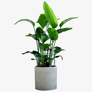 garden support