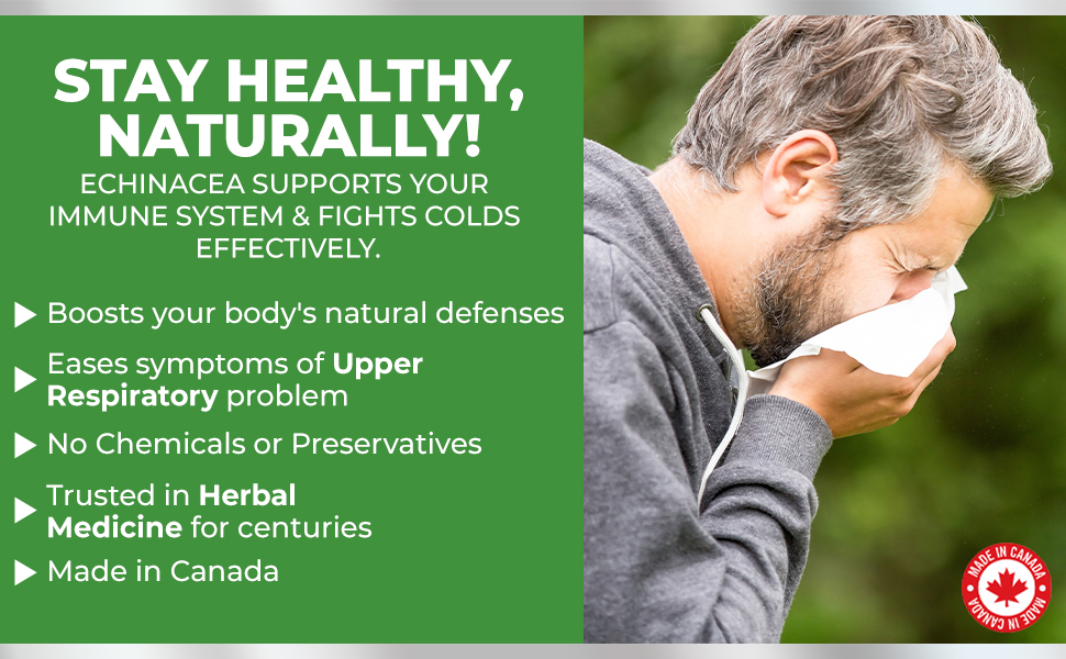 Supports immune system