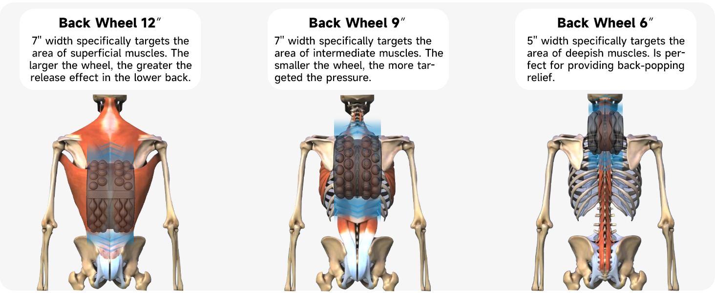 FitBeast Back Stretcher, Back Cracker & Back Roller, Back