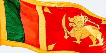 Bandiera dello Sri Lanka che sventola al vento. Bandiera rettangolare con sfondo marrone, bordo giallo e strisce verticali verdi e arancioni. Presenta un leone dorato che impugna una spada